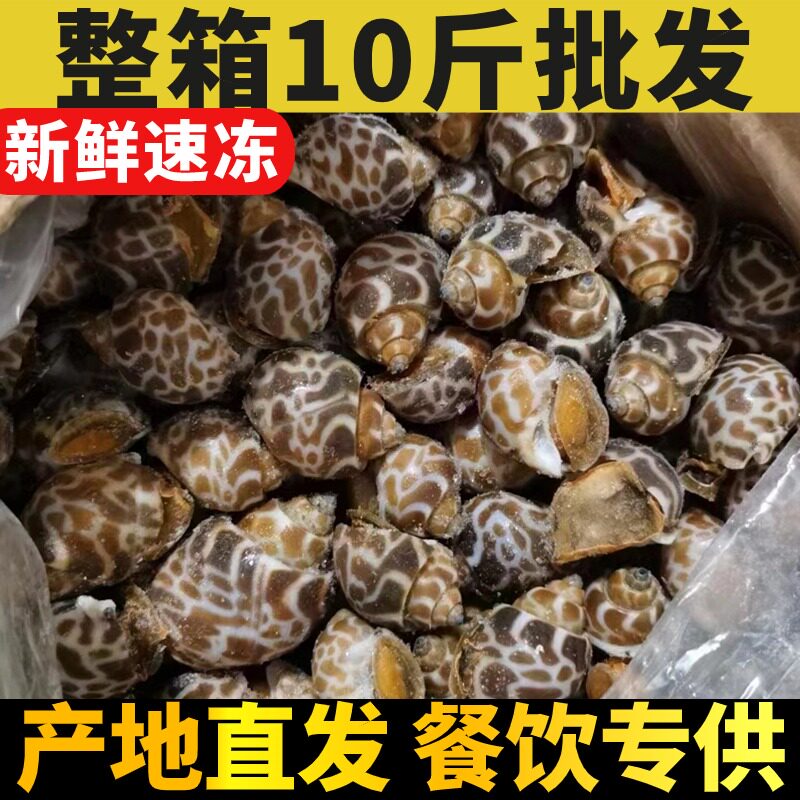 新鲜鲜活速冻花螺商用麻辣捞汁小海鲜水产特大号冷冻泥螺东风10斤