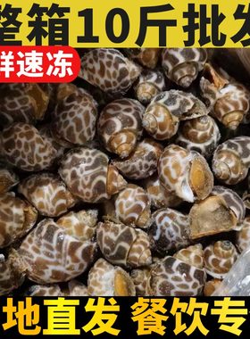 新鲜鲜活速冻花螺商用麻辣捞汁小海鲜水产特大号冷冻泥螺东风10斤