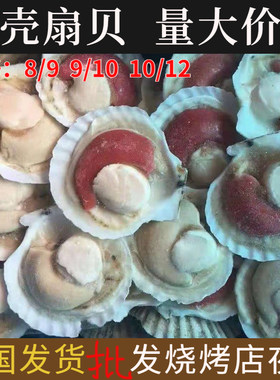 扇贝带壳夏威夷贝蒜蓉粉丝烧烤