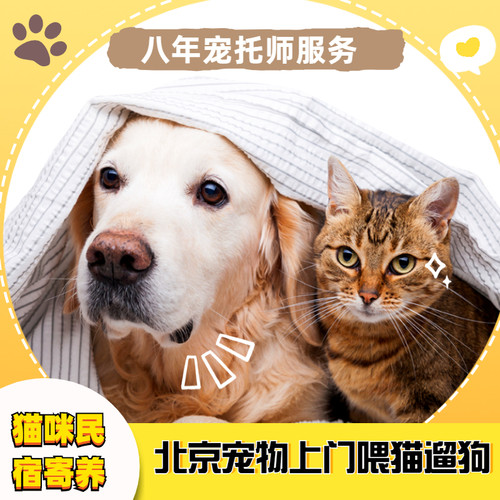 上门寄养服务驱虫清理北京遛狗