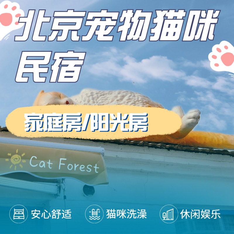 北京高端宠物猫咪民宿寄养洗澡剃毛上门喂猫遛狗陪护照顾