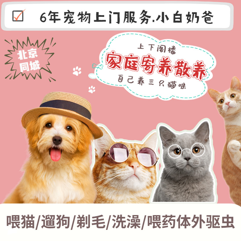 北京宠物上门服务喂猫遛狗猫咪洗澡剃毛剪指甲寄养接送医院陪护
