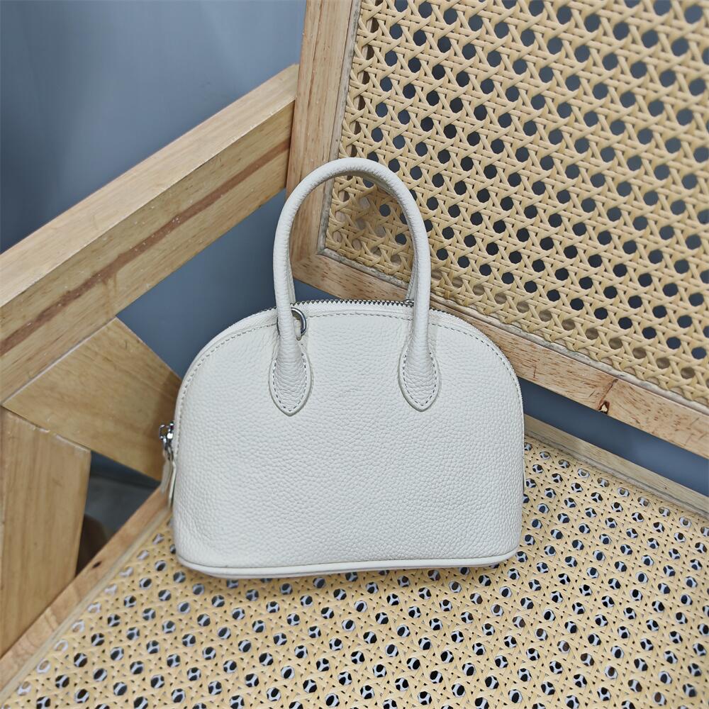 新款专柜秋冬手提单肩日韩女小包