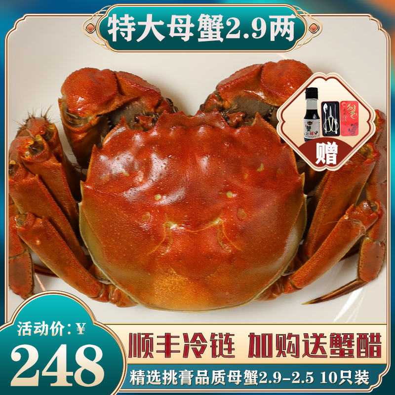 【母蟹季】10只特大全母蟹礼盒装