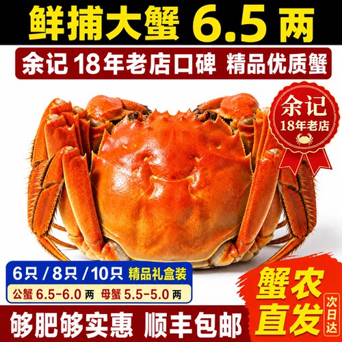 中秋海鲜礼盒大闸蟹特大公母蟹