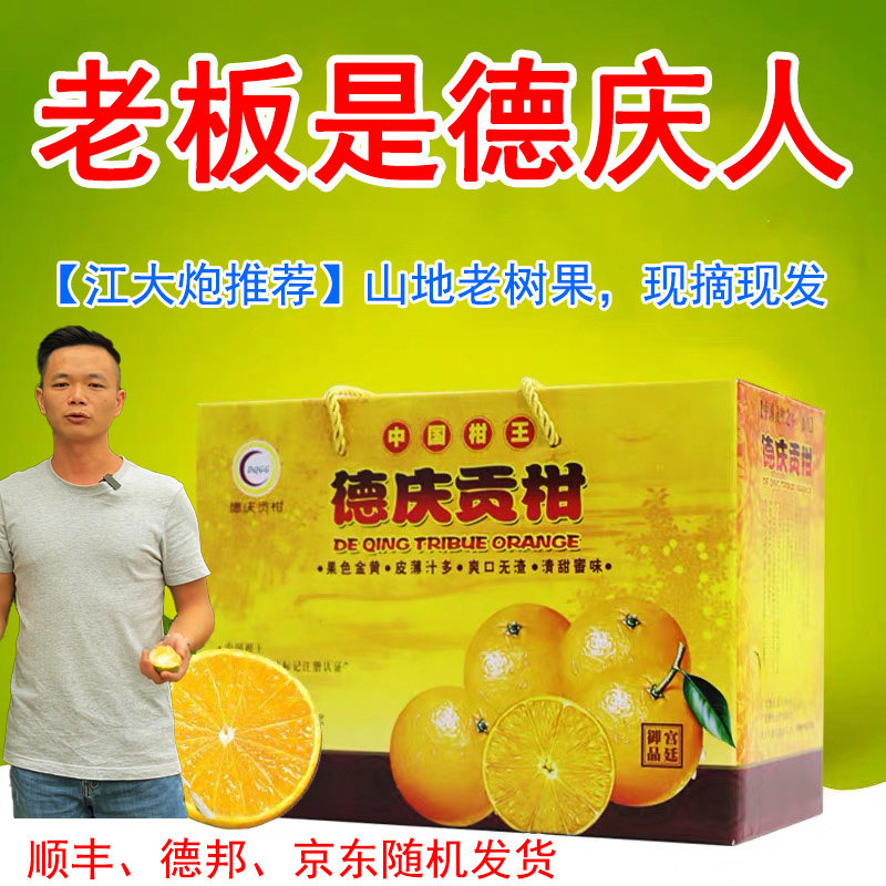 正宗德庆贡柑新鲜皇帝柑桔子当季现摘黄帝柑5/10斤大果礼盒装整箱