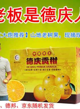 江大炮推荐正宗德庆贡柑皇帝柑