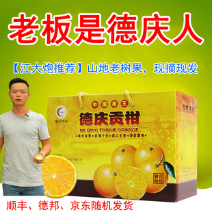 正宗德庆贡柑新鲜皇帝柑桔子当季现摘黄帝柑5/10斤大果礼盒装整箱