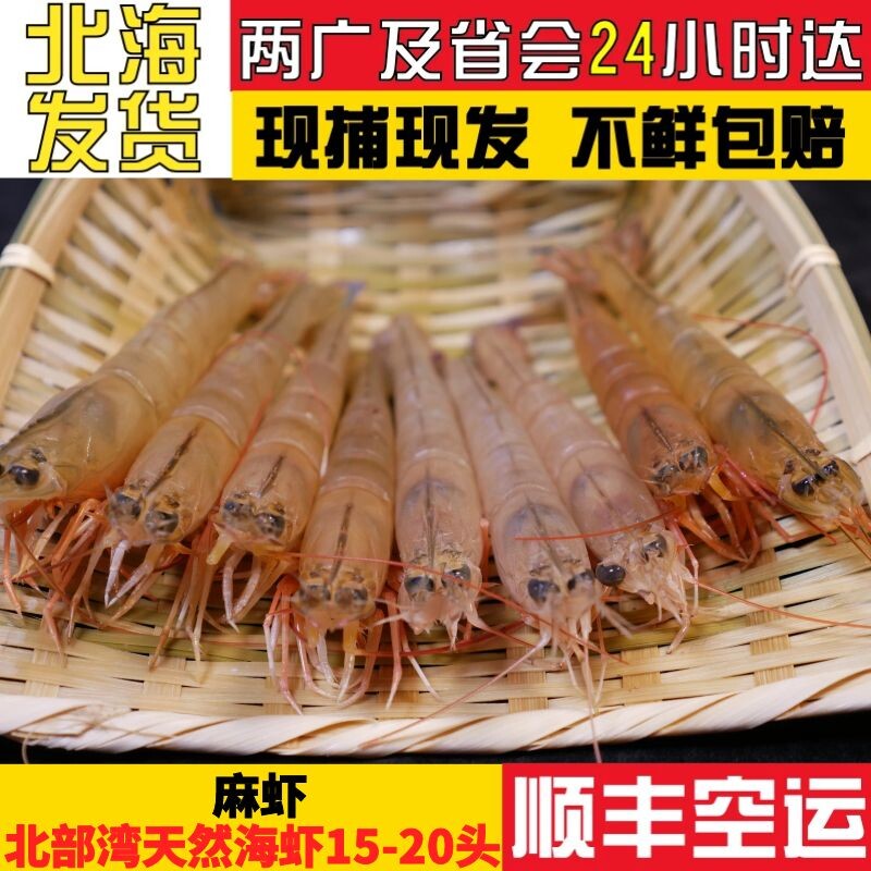 北海麻虾15-20头对虾新鲜野生大虾 超大沙卢虾 海虾鲜活 速冻海鲜