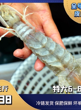 涠洲岛特大号全母带膏皮皮虾每斤5-7头虾爬子超大懒尿虾虾姑人气