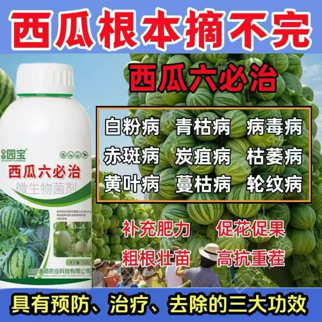 西瓜六必治万能杀菌剂叶面专用肥微生物菌剂甜瓜哈密瓜黄叶面肥料