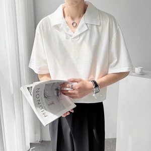 夏季轻熟风短袖POLO衫男潮牌痞帅半袖上衣V型翻领t恤男潮T548P30图片