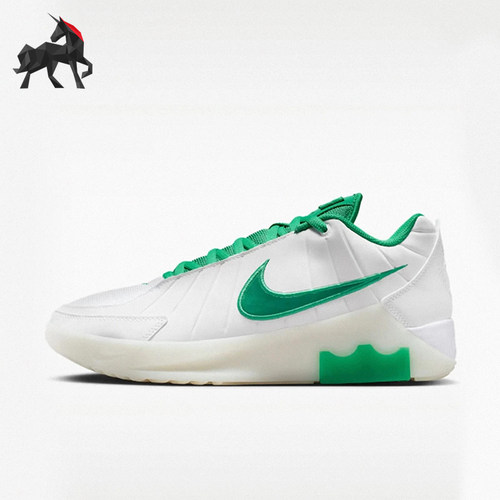 Nike/耐克正品LEBRON WITNESS IX EP男士经典篮球鞋HQ8035-101
