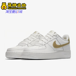 Nike/耐克正品女士休闲简约潮流低帮运动舒适板鞋314219-127