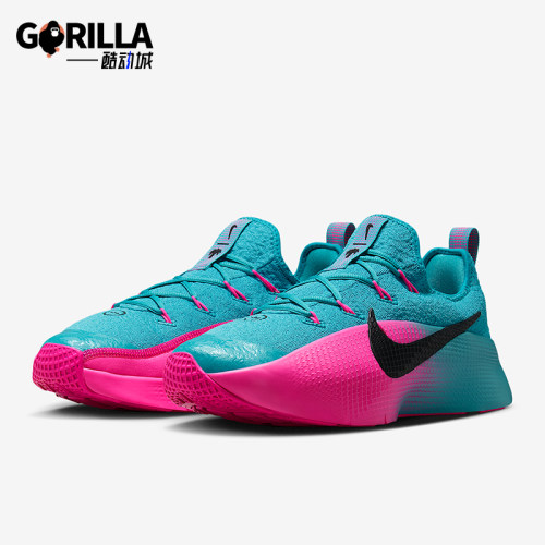 Nike/耐克正品LeBron TR 1男士耐磨低帮系带减震训练鞋FJ6151-301