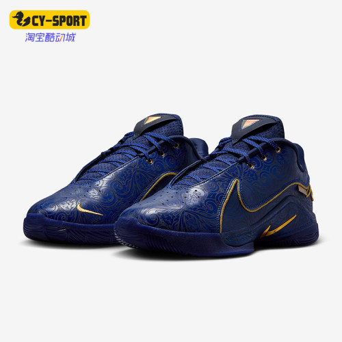 Nike/耐克正品LeBron 22男士训练耐磨缓震运动篮球鞋HV5145-400
