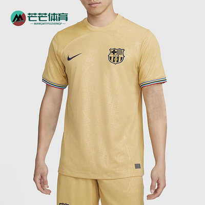 Nike/耐克正品2025男士训练圆领套头透气运动足球短袖DJ7675-715