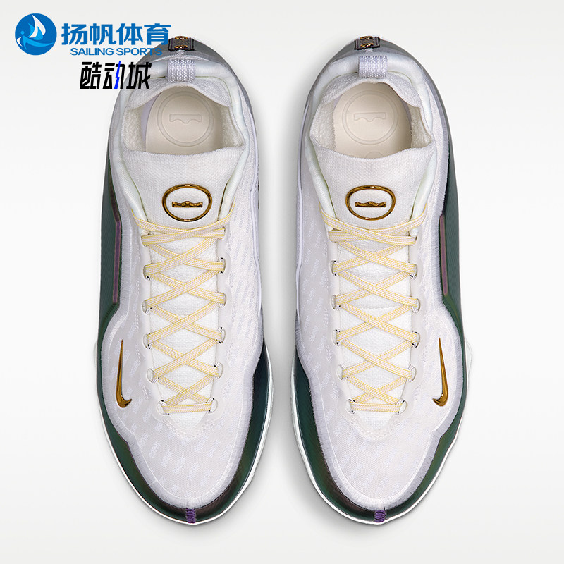 Nike/耐克正品LeBron新款男白紫色经典实战外场篮球鞋IB9558-100