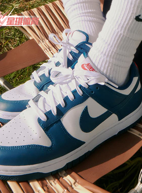 Nike/耐克正品Dunk Low Retor男士轻便经典板鞋DD1391-400