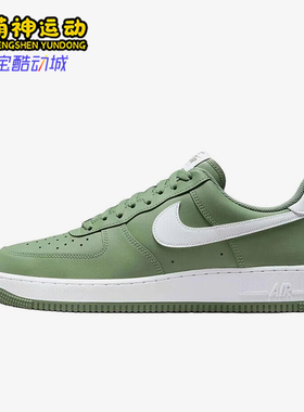 Nike/耐克正品2025秋季款男士日常低帮系带透气板鞋FJ4146-301