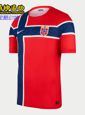 Nike/耐克正品男士主场透气套头圆领短袖足球衣IB5170-673