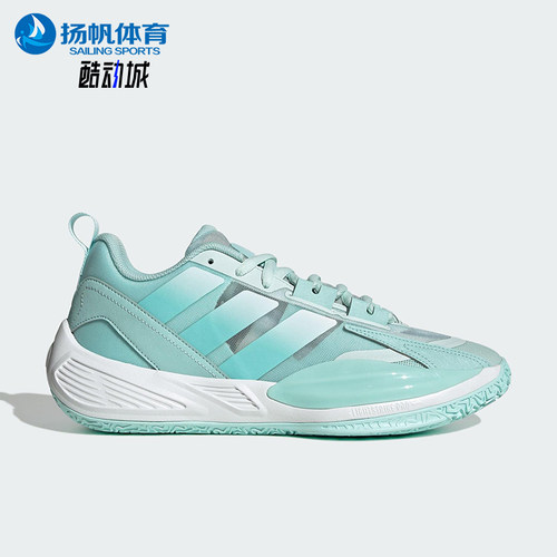 Adidas/阿迪达斯正品XENOBURST男女时尚经典运动低帮篮球鞋JR4379