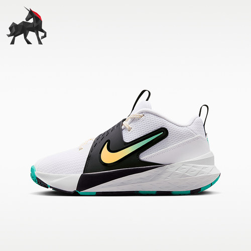 Nike/耐克正品Team Hustle D 12大童运动经典篮球鞋HF6279-105