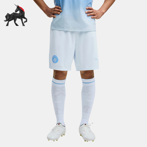 Puma/彪马正品男士休闲时尚刺绣LOGO透气运动短裤784363-12