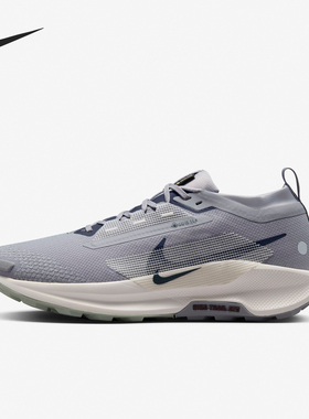 Nike/耐克正品PEGASUS TRAIL 5 GTX男士透气跑步鞋FQ0908-006