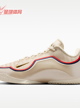 Nike/耐克正品JORDANLeBronXIEP詹姆斯经典男篮球鞋IB9563-103