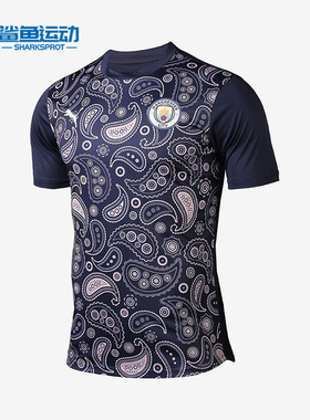 Puma/彪马正品2025男士日常圆领套头耐穿透气足球短袖758030-09