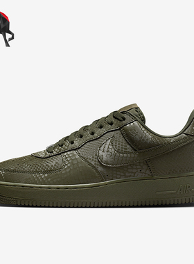 Nike/耐克正品2025秋季款男士日常蛇皮纹低帮耐磨板鞋IB0018-301