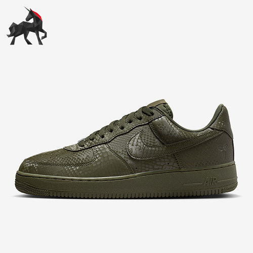Nike/耐克正品2025秋季款男士日常蛇皮纹低帮耐磨板鞋IB0018-301