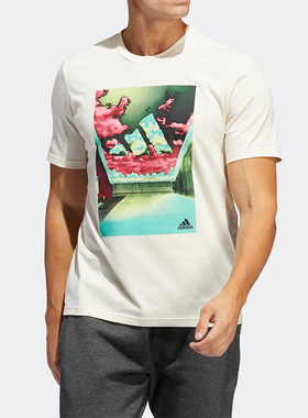 Adidas/阿迪达斯正品夏季新款休闲透气男子运动圆领短袖T恤HE2309