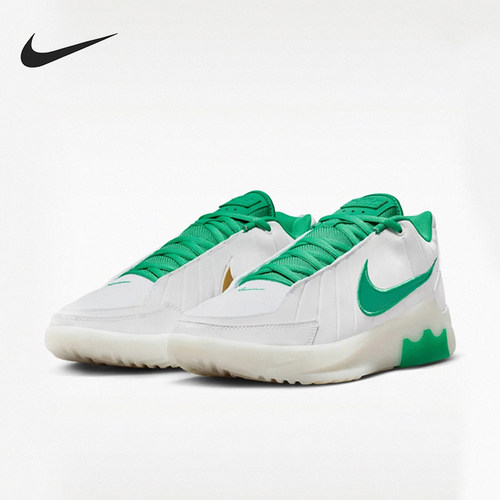 Nike/耐克正品LEBRON WITNESS IX EP男士经典篮球鞋HQ8035-101