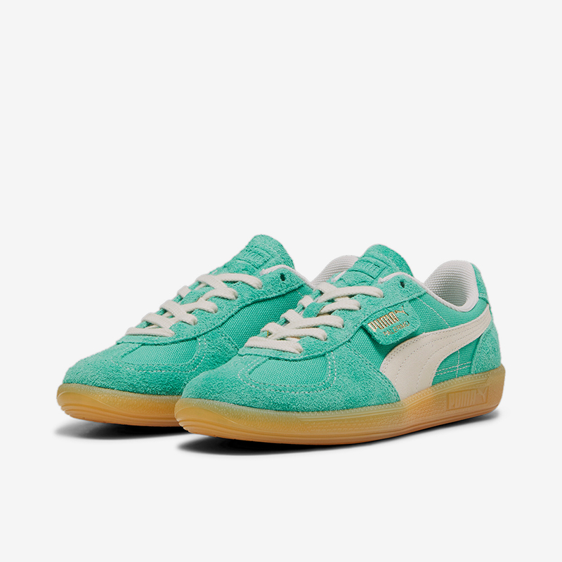 Puma/彪马正品2024新款男女复古潮流耐磨T头德训鞋396841-05