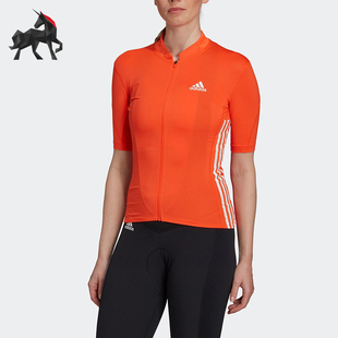 Adidas/阿迪达斯正品时尚女士条纹印花透气舒适短袖T恤HM6421