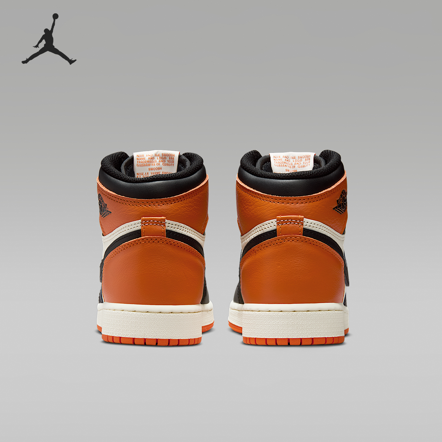 Nike/耐克正品JORDAN GS女子大童缓震皮革篮球鞋FD1437-008