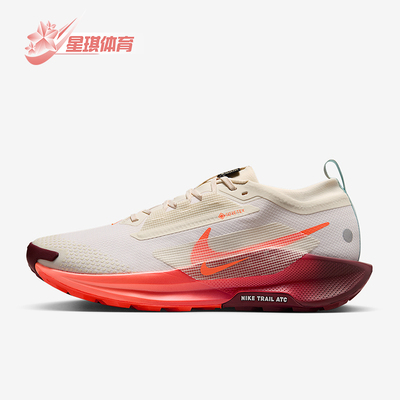 Nike/耐克正品Pegasus男士运动缓震耐磨低帮训练跑步鞋FQ0908-104