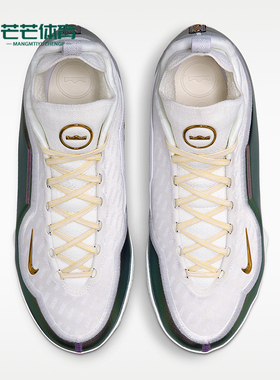Nike/耐克正品LeBron新款男白紫色经典实战外场篮球鞋IB9558-100