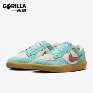 Nike/耐克正品新款男女时尚耐磨运动休闲板鞋DV5477-302
