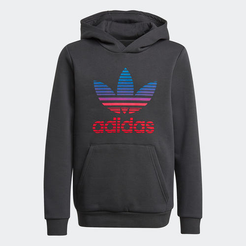 Adidas/阿迪达斯正品三叶草新款 HOODIE 大童装运动卫衣GN7411