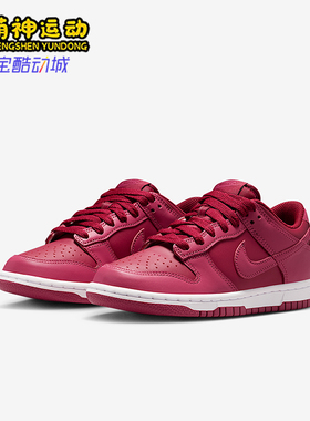 Nike/耐克正品2025秋季款GS女子大童日常运动耐磨板鞋FB9109-602