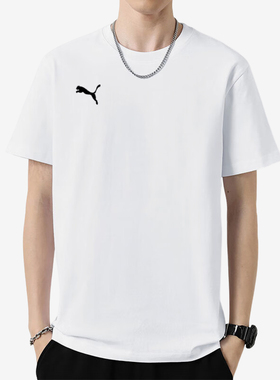 Puma/彪马正品teamGOAL Casuals Tee男士简约短袖658615-04