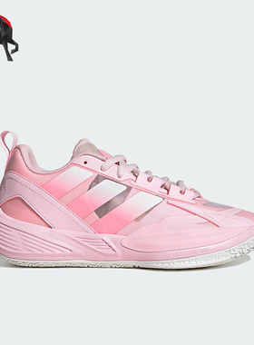 Adidas/阿迪达斯正品XENOBURST男女训练透气经典耐磨篮球鞋JR4376