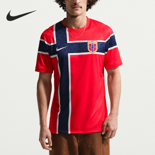 Nike/耐克正品Dri-FIT男士复古足球衣经典运动短袖T恤IB5316-673