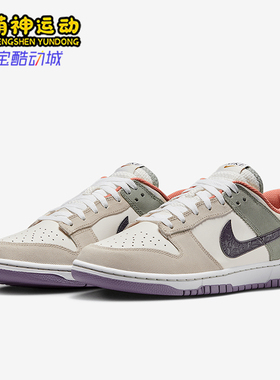 Nike/耐克正品2025新款男士透气复古耐磨低帮板鞋HV5750-133