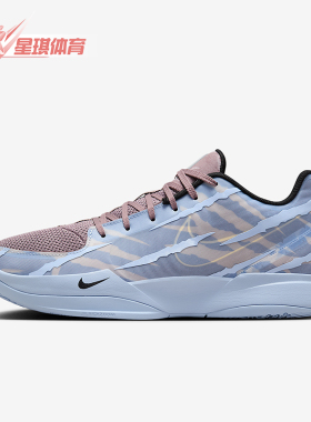Nike/耐克正品JA2新款男女灰粉浅蓝色经典休闲篮球鞋IB4007-900