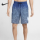 男士 系带时尚 夏季 Nike FZ6461 Swim 透气沙滩短裤 410 耐克正品