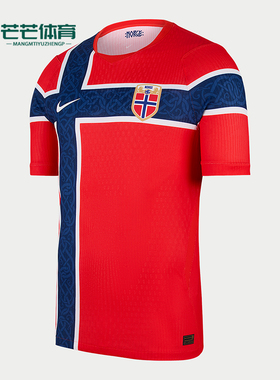 Nike/耐克正品男士主场透气套头圆领短袖足球衣IB5170-673